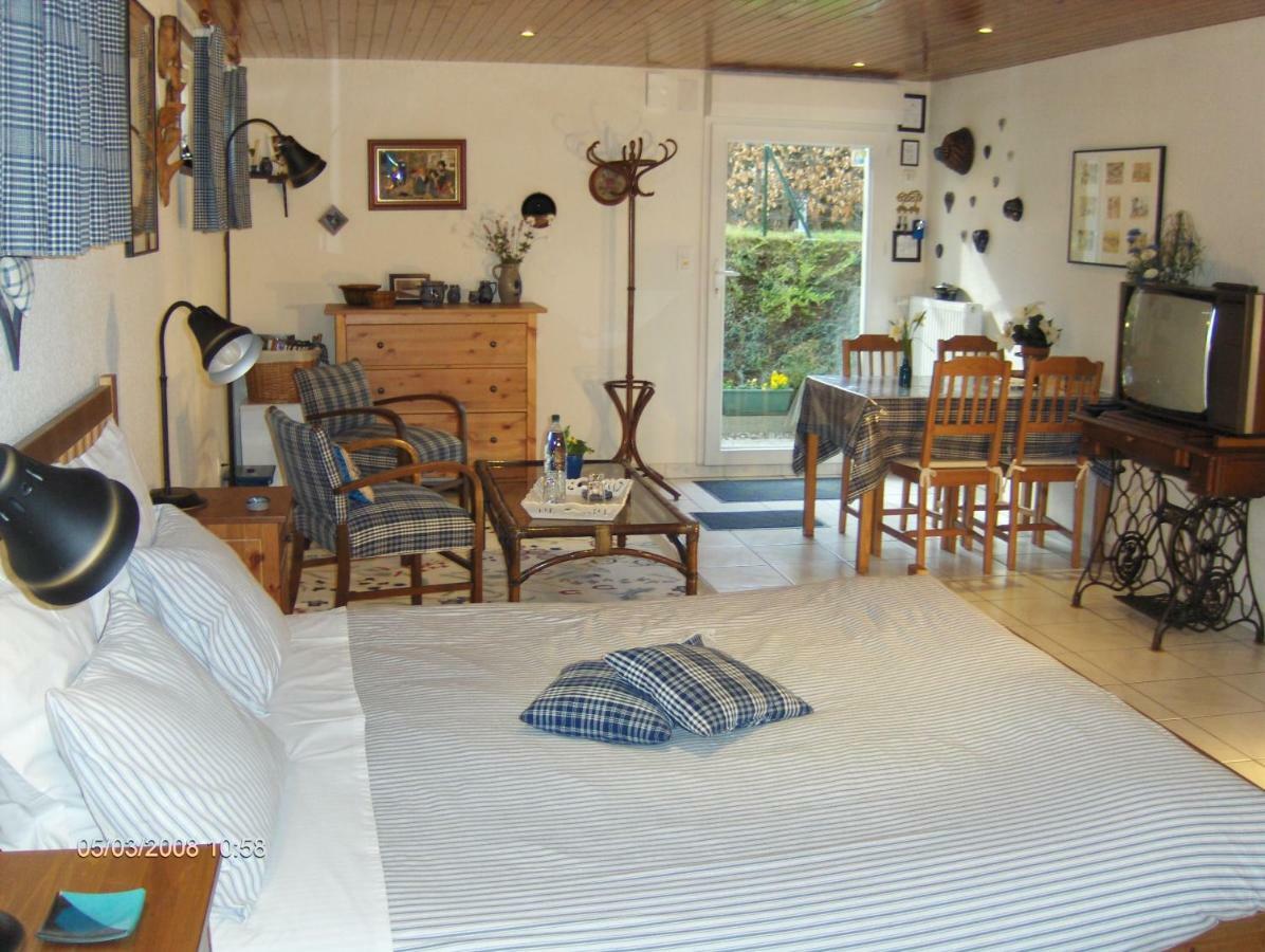 Chambre D'Hotes Au Canal Ількірш-Ґраффенстаден Екстер'єр фото
